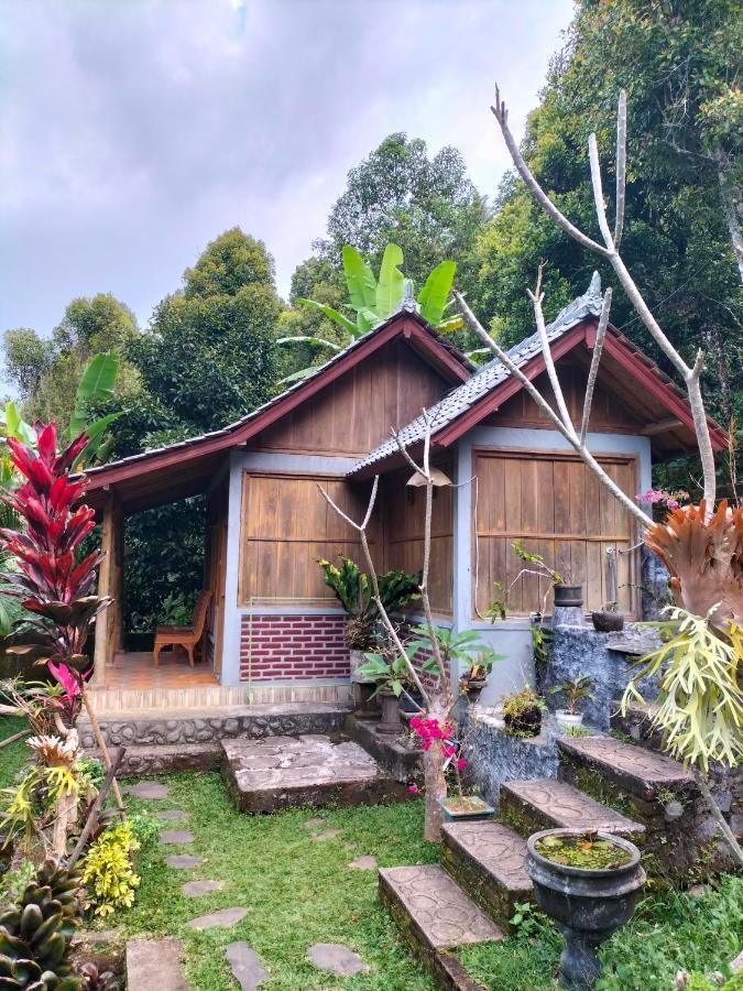 Singaraja Friendly Homestay Lemukih מראה חיצוני תמונה