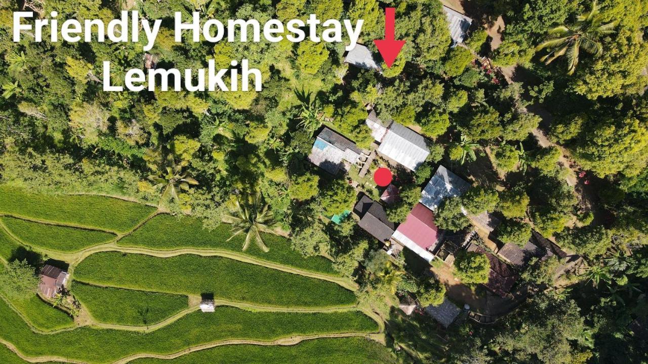 Singaraja Friendly Homestay Lemukih מראה חיצוני תמונה
